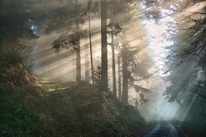 Mystical Lighting